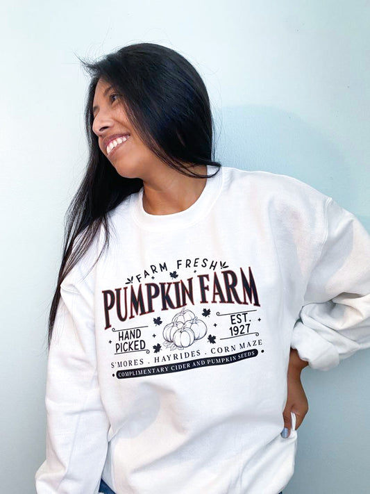 Pumpkin Harvest Sweater Crewneck